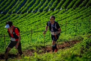 BIB: 204
                            <button type="button" onclick="openModal(19161176)" class="btn btn-primary btn-sm float-right btn-popup" data-toggle="modal" data-target=".modal-high-quality">
                        <i class="fas fa-shopping-cart"></i> Add to Cart
                    </button>
                                            <button type="button" onclick="isThisMe(19161176, true)" class="btn btn-success btn-sm float-right btn-popup btn-isme hidden" data-toggle="tooltip" data-placement="bottom" title="นี่คือรูปของคุณใช่ไหม คลิกที่นี่เพื่อเอาเข้าอัลบั้ม">
                        <i class="fas fa-plus"></i> Add to album
                    </button>
                    <button type="button" onclick="isThisMe(19161176, false)" class="btn btn-warning btn-sm float-right btn-popup btn-isnotme hidden">
                        <i class="fas fa-ban"></i> Remove from album
                    </button>